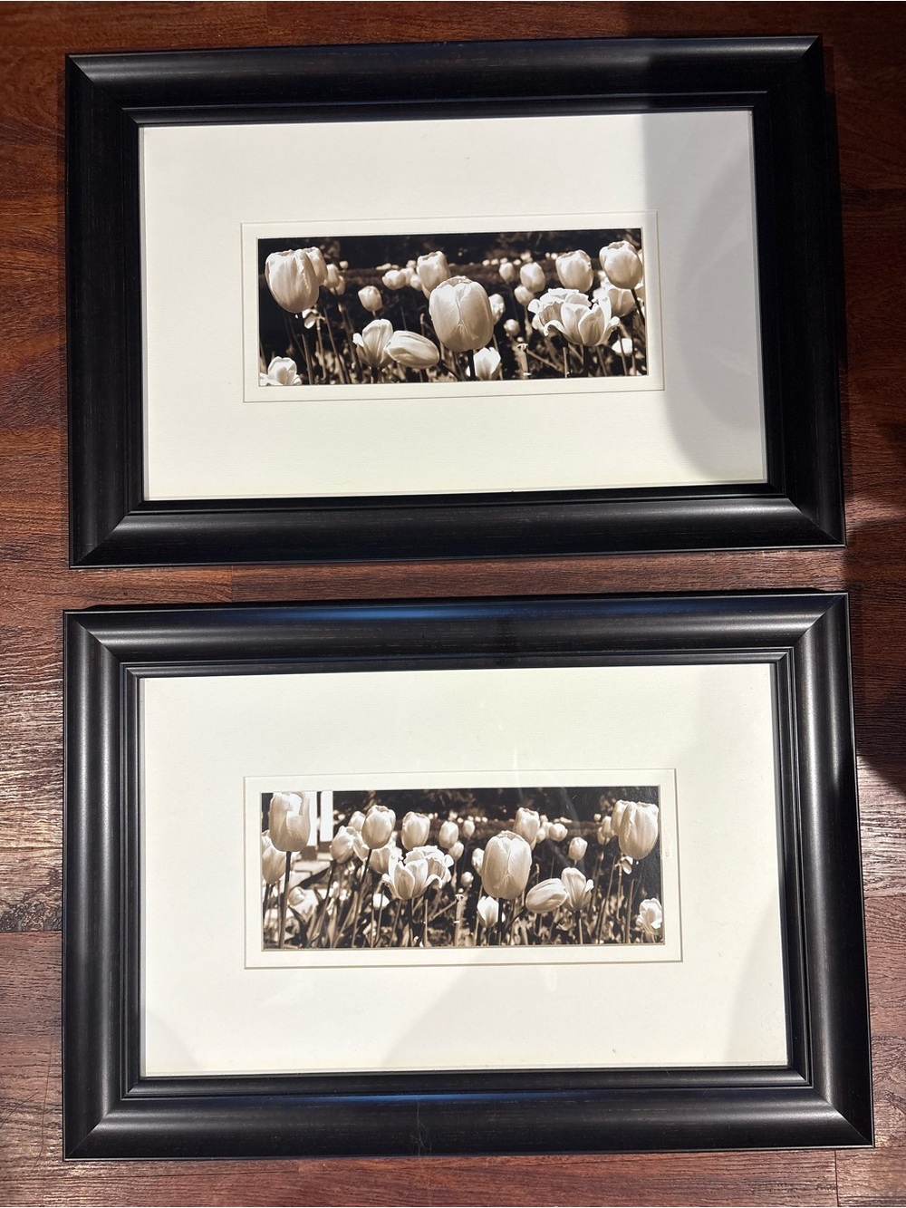Framed Sepia Tulip Wall Art Pair